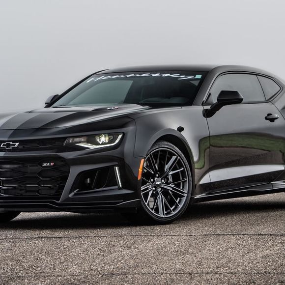 Meet your Posher, Jaden - Picture 1 of 1